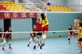 2025中国（瑞昌）国际羽毛球大师赛收官